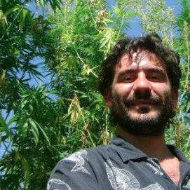 Diego Bertone, Argentinian cannabis researcher