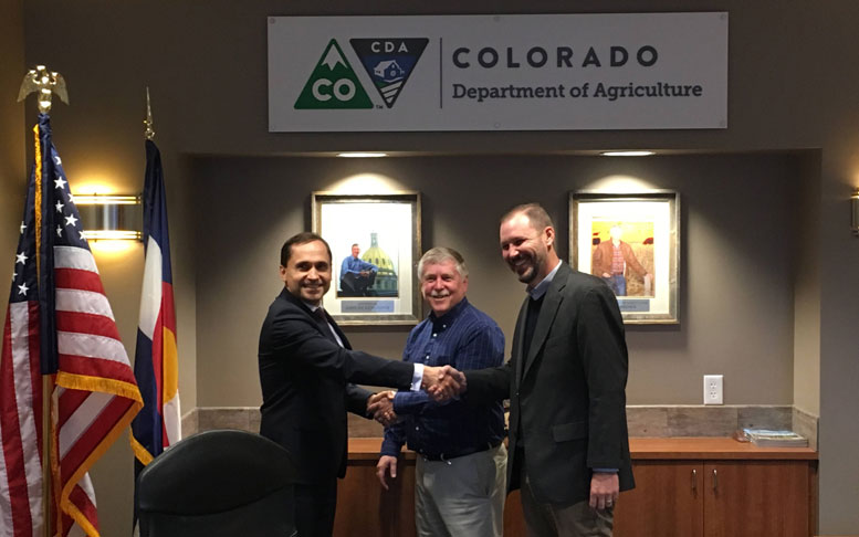 Colorado Poland hemp seed deal