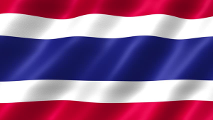 Thai stakeholders move fast as market rules take effect