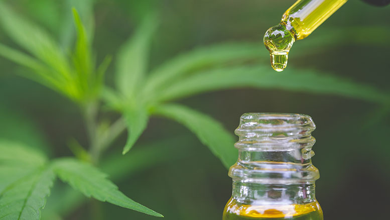 CBD claims in UK draw warning from advertising regulator