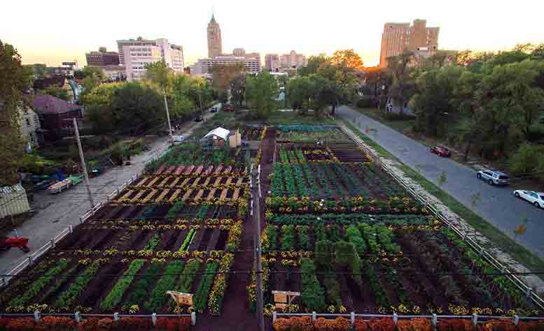 Detroit is already home to nearly 1,400 community gardens and farms.