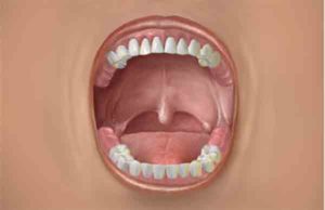 Power Bull CBD Gummies: Reviews, Price, Pros & Cons, Buy Now