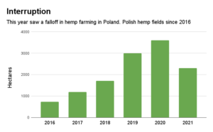Blocked subsidies cause Polish hemp fields to shrink by 36%