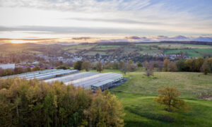 Scottish bank raises investment in hemp insulation maker to £5 million