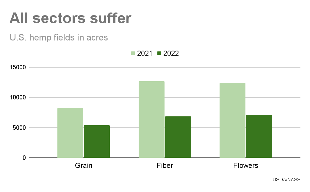 Hemp value drops 71% as harvested acres again slashed by half, USDA