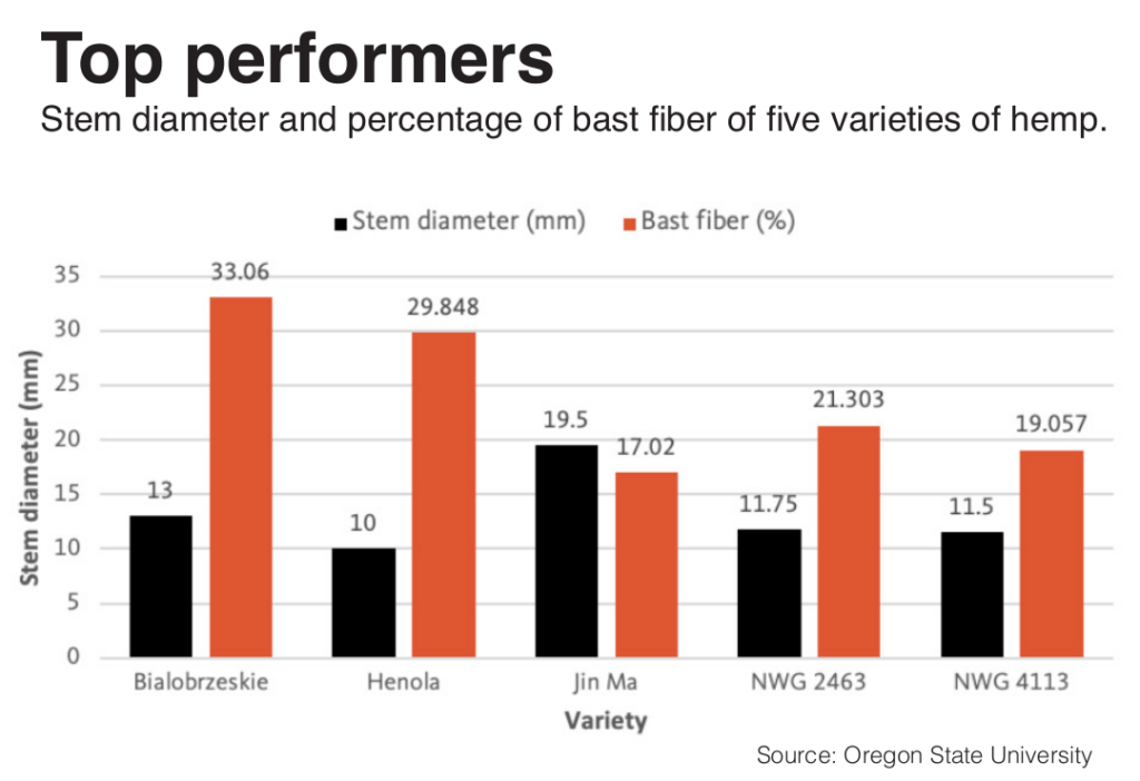 Polish hemp fiber varieties stand out against those from China, USA in Oregon trials