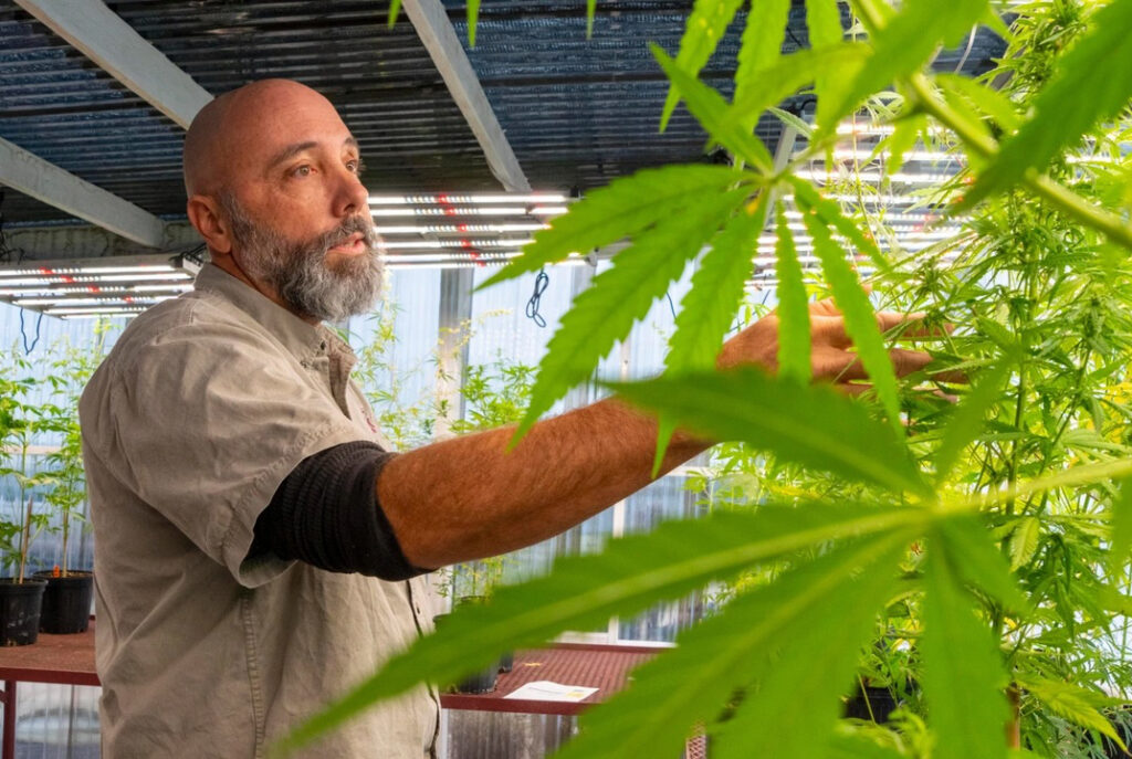 Russell Jessup of Texas A&M’s Department of Soil and Crop Sciences (Photo: Michael Miller)