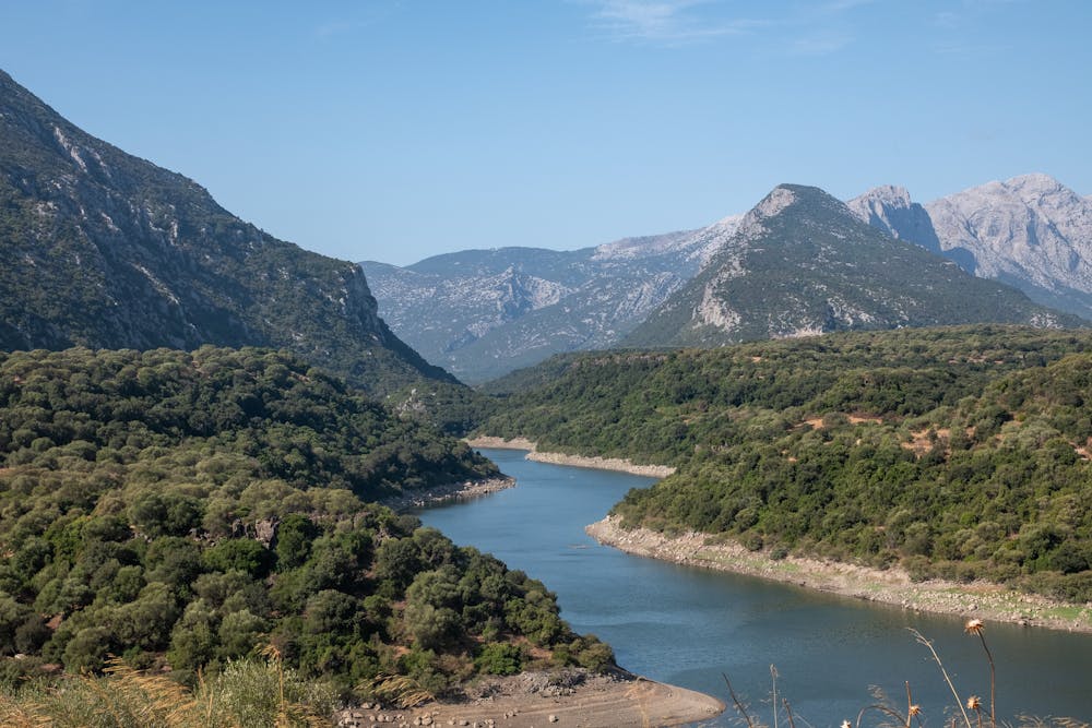 As Italy's crackdown on drugs hits Sardinia, hemp flowers again drawn into the fray