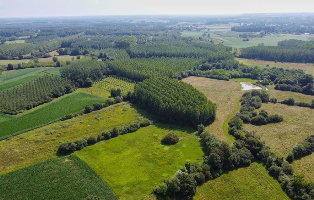 Two French hemp projects aim to expand fiber processing for textiles and construction