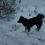 Freddie, who made his third trip to Naklo with Henry during Deep Green Building.